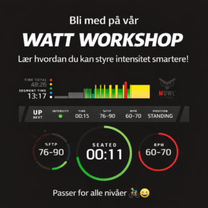 watt workshop